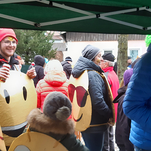 Faschingsumzug in Kleinraming