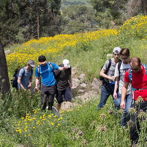 Bibelschule in Israel