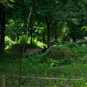 Minis-Ausflug nach Wien