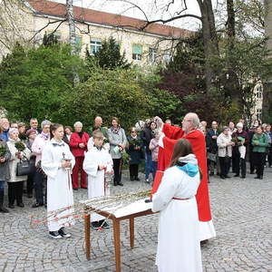 Palmsonntag in St. Quirinus