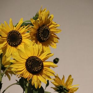 Erntedankfest in St. Quirinus 2022