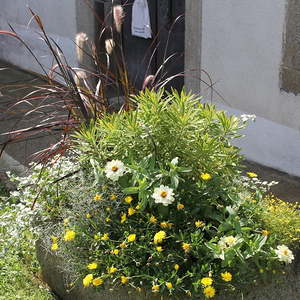 Pfarrpatrozinium2019