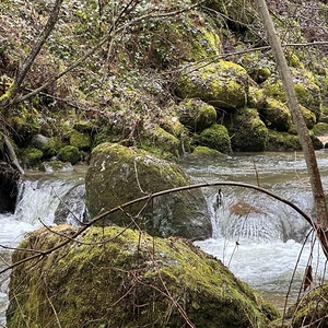 Start Fastenbegleiter-Lehrgang 2023 Bad Mühllacken