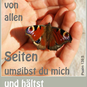 Textbilder für den Jahreskreis der Kirche