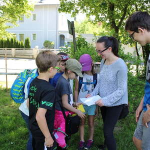 Die Schnitzeljagd der Jungschar auf dem Freinberg