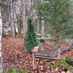 letzte Station - Michelbach