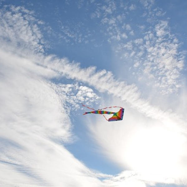 Der Duft von Freiheit – Kraftvoll mein Leben und meine Welt gestalten