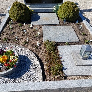 Grabbepflanzung