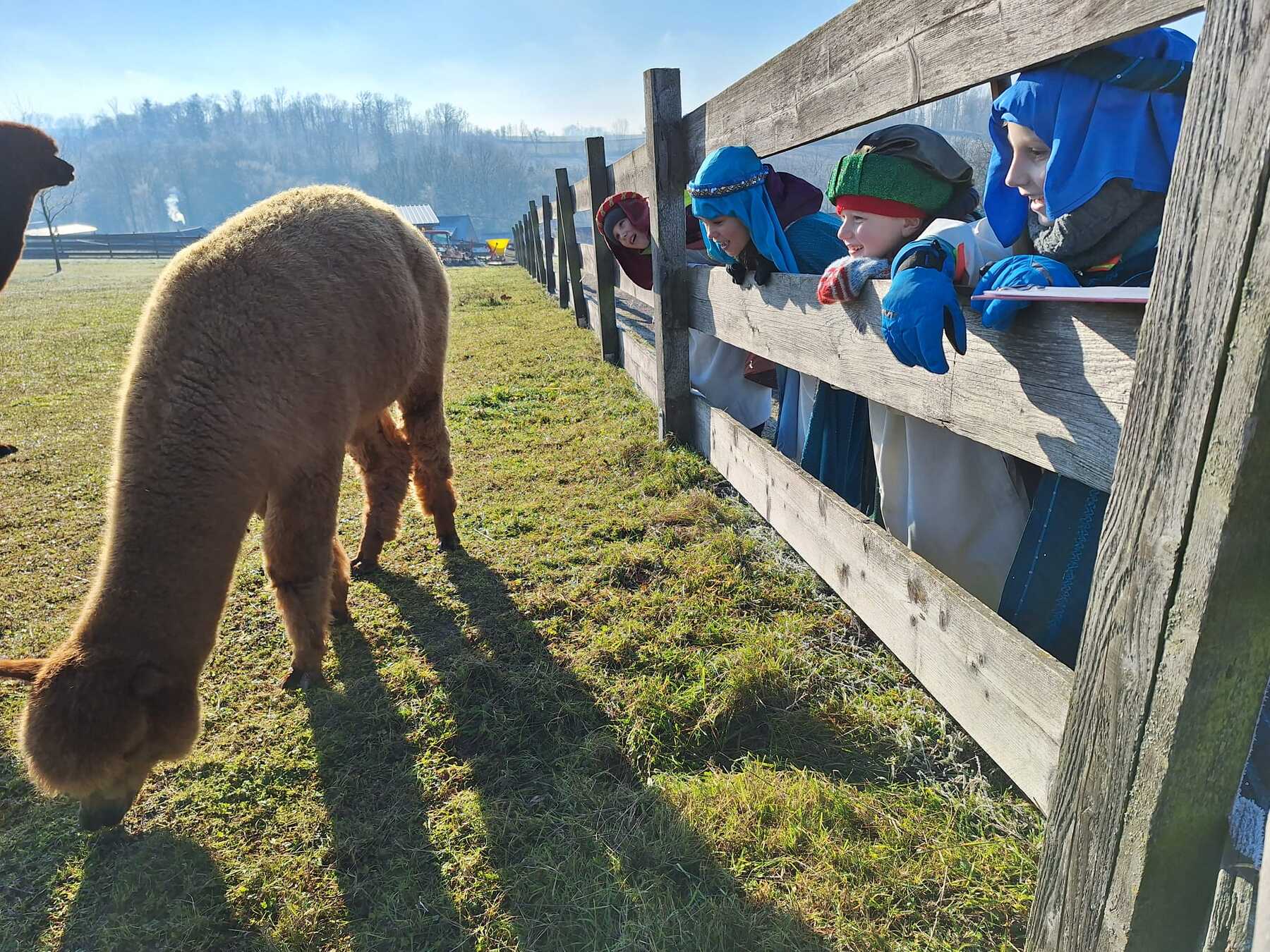 Gruppe Winkeln / © DKA Pfarrgemeinde Schönering