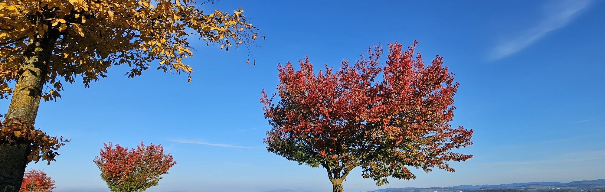Herbststimmung in Allerheiligen