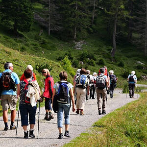 Vorarlbergreise der Kokuwawis