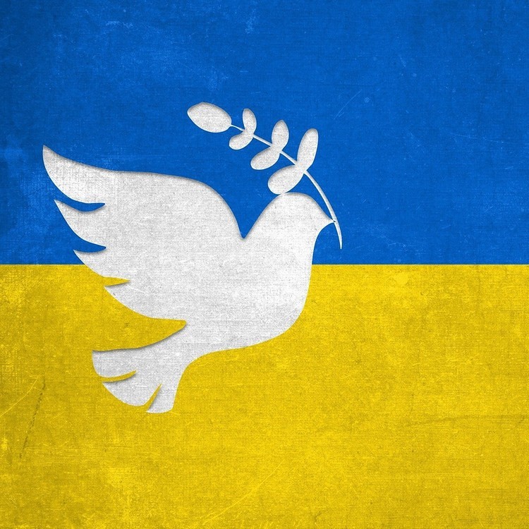 Ukraine-Flagge mit Friedenstaube