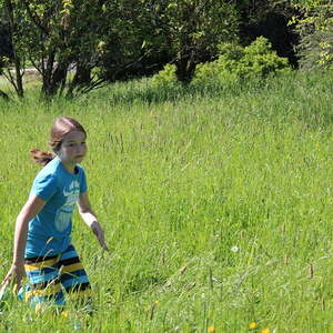 Die Schnitzeljagd der Jungschar auf dem Freinberg