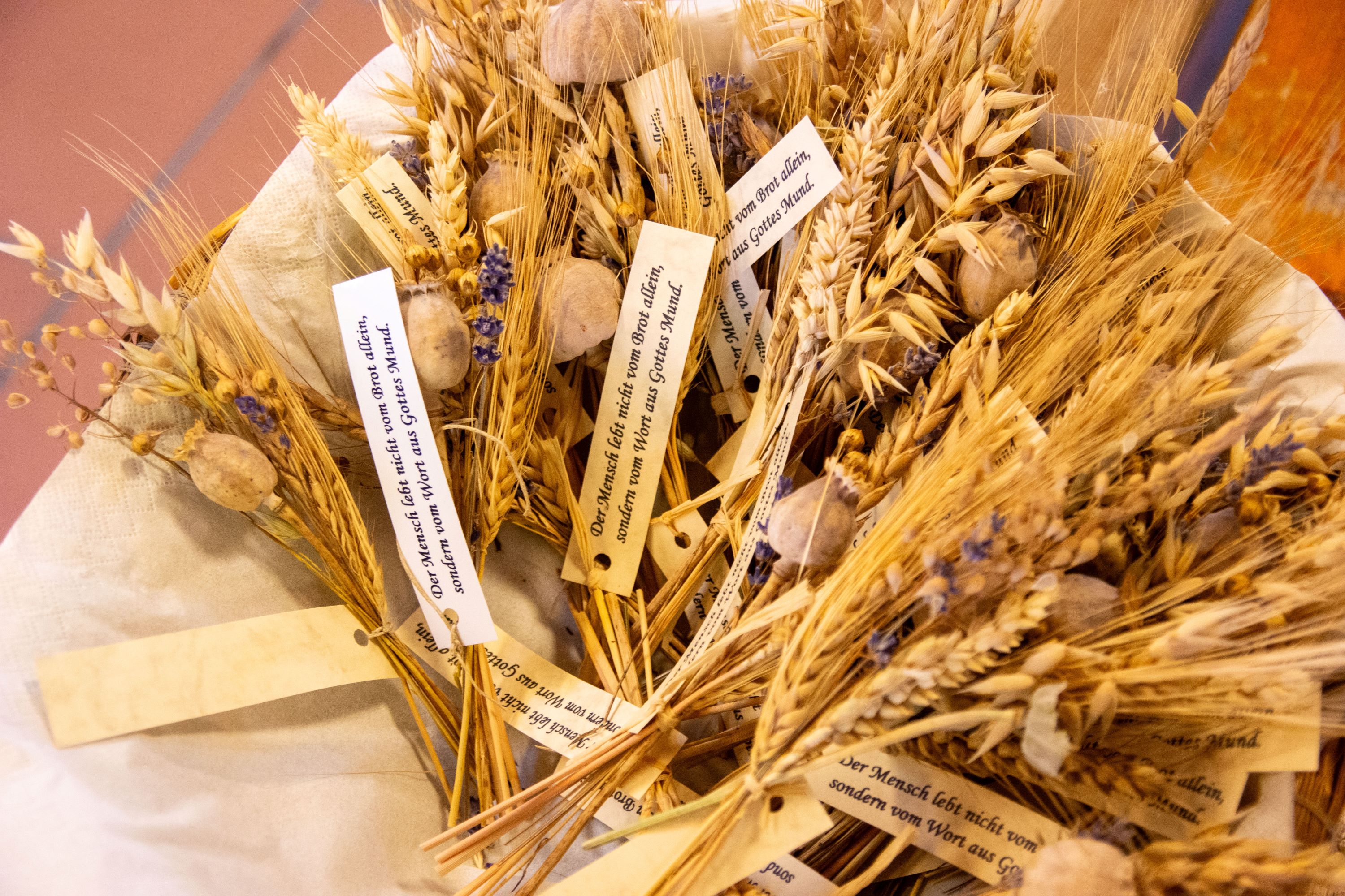 Erntedankfest 2023 / © Pfarrgemeinde Schönering