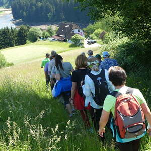 Fußwallfahrt Maria Pötsch