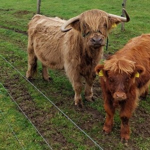 unterwegs nach Stadl