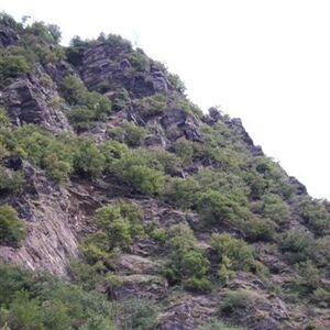 KBW-Fahrt nach Deutschland