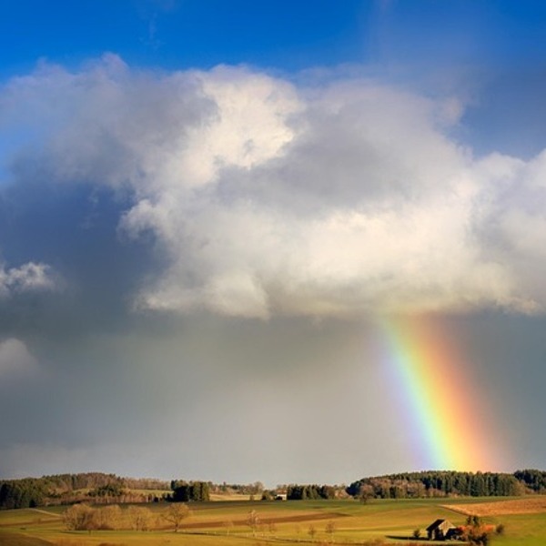 7. Sonntag der Osterzeit