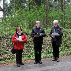 Kreuzweg am Schiltenberg