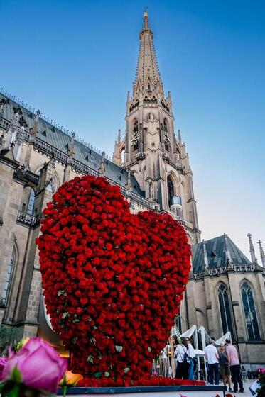 MUT zum Erinnern - Ein Herz aus Rosen; Lange Nacht der Kirchen 2026 / © Diözese Linz / Johannes Kienberger Am Domplatz entstand ein großes Rosenherz, an dem alle mitwirken konnten.