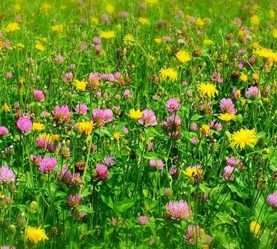 Kindergarten St. Marien