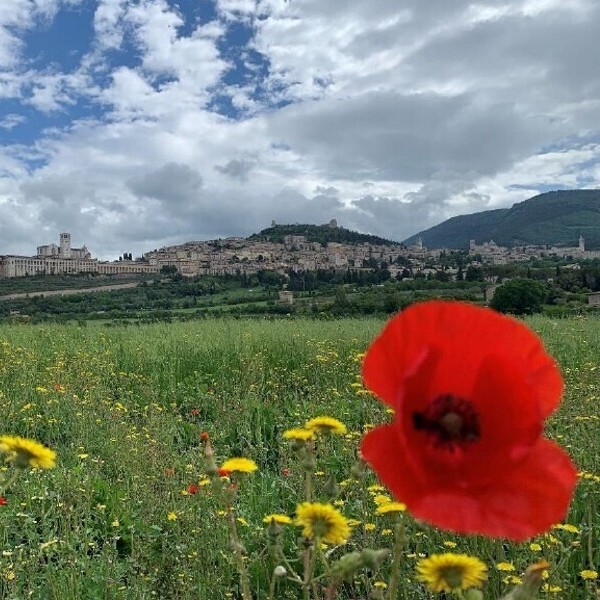 Pilgerreise nach Assisi