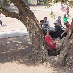 Bibelschule in Israel