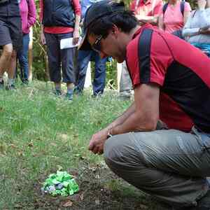 meditative Pilgerwanderung 28.4.18