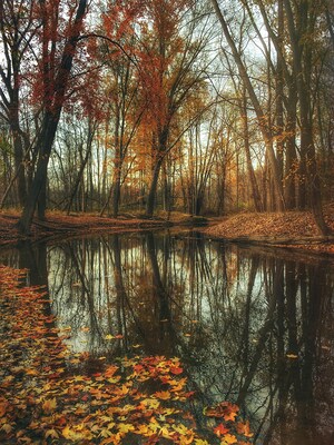 Herbst