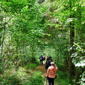 des Männerstammtisches