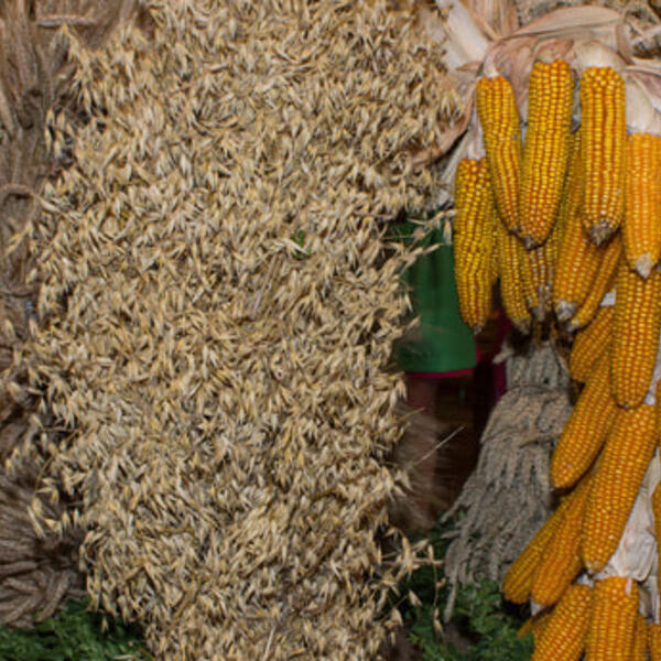 Erntedankfest - 4.10.2015