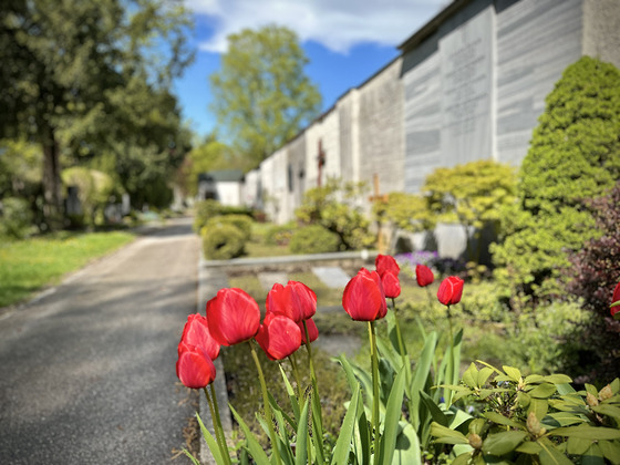 Muttertag am Plauderbankerl  am St. Barbara Friedhof