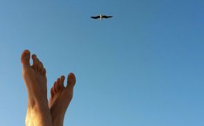 Füße und Vogel vor blauem Himmel. © Isabella Unfried