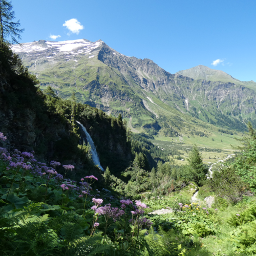 Rauris