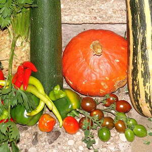 Erntedankfest Kirche Maria Schauersberg 2014