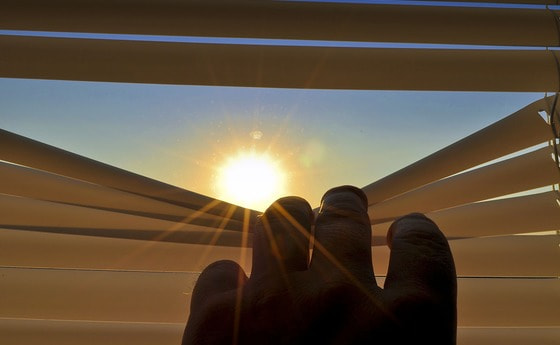 Blick durch die Jalousie gen Sonne