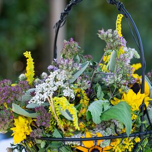 Kräuterweihe 2024, 100 Jahre Hofbauernkapelle