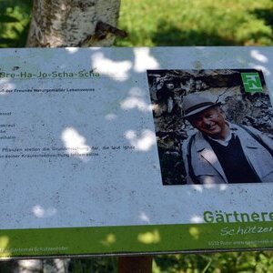 Schardenberg