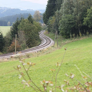 Pfarr-Wallfahrt Maria Trost