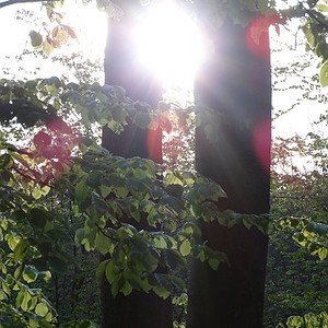 Emmausgang Ostermontag