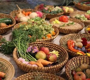 Erntedank- und Pfarrfest 2022