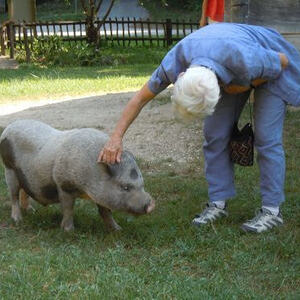 Reise nach Slowenien