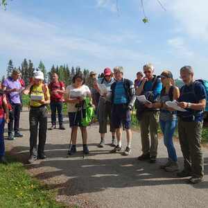 meditative Pilgerwanderung 28.4.18