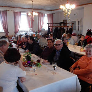 Seniorenfasching 2016