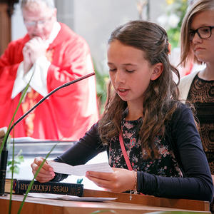 firmung pfarre sarleinsbach