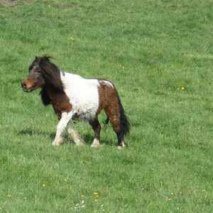 meditative Pilgerwanderung 28.4.18