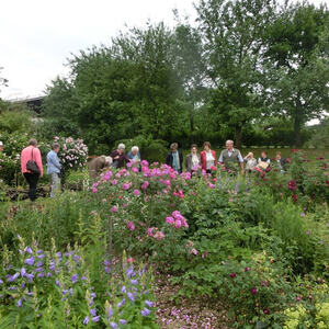 Seniorenausflug ins Mostviertel
