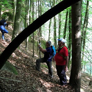 meditative Pilgerwanderung 28.4.18