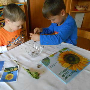 Erntedank -  Danke lieber Gott ...