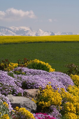 Frühling